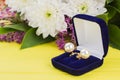Close up pearl earrings in blue velvet box. Royalty Free Stock Photo