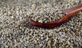Close up of Pearl Millet Bajra with wooden spoon Royalty Free Stock Photo