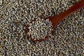 Close up of Pearl Millet Bajra with wooden spoon Royalty Free Stock Photo