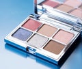 A close-up of pearlescent shimmery palette of blue eyeshadows for creating eye makeup.