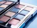 A close-up of pearlescent shimmery palette of blue eyeshadows for creating eye makeup.