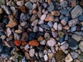 close up of pebbles in various colors Royalty Free Stock Photo