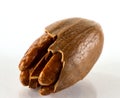 Close up of pecan nut Royalty Free Stock Photo