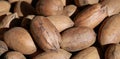 close up of pecan nuts in shell, one nut cracked, background Royalty Free Stock Photo