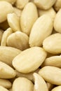 Close-up Peeled almond kernel. Healthy organic nuts. Food background. Pile almond. Story format Royalty Free Stock Photo