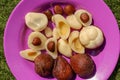 Close up of peeled, cuted and whole pieces of Snake fruit with seed.  Top view of healthy fruit. Salak pondoh is one of the salak Royalty Free Stock Photo