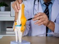 Close-up pen holding by orthopedic doctor man`s hand in white coat pointing to knee joint anatomy model on desk. Royalty Free Stock Photo