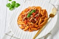 Close-up of penne rigate on a plate