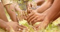 Close up of people hands planting tree seedling in park - volunteering, charity, people and ecology concept to save Royalty Free Stock Photo