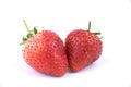 Close up Perfectly retouched fresh strawberries fruits on white background.