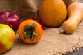 Close up of persimmon near harvest of red apples, pear, rowan an Royalty Free Stock Photo