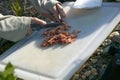 Close up of person chopping bacon rations