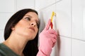 Person Cleaning The White Tile Using Brush Royalty Free Stock Photo