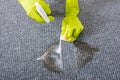 Close-up of person hand spraying detergent on carpet