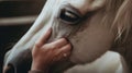 A close up of a person petting a horse. Generative AI image.