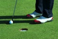 Close up of person putting golf ball on golf course