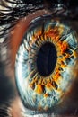 A close up of a person's eye with a blue iris Royalty Free Stock Photo