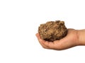 Close-up of person's hand holding soil Close-up of Hand Holding Soil for Gardening Work