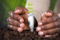 Close-up Of Person`s Hand Protecting Plant Royalty Free Stock Photo