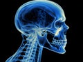 A close up of a person\'s head with a brain scan. AI generated