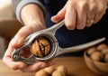 Person cracking a walnut with a nutcracker tool Royalty Free Stock Photo
