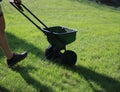 Close-up of a person using a seed spreader in early spring with a grass background and copy space Royalty Free Stock Photo