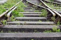 Close-up perspective of disused overgrown railway track