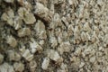 Close up perspective of Igneous Rock Surface Texture (wider)