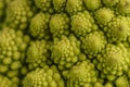 Close-up of the pertuvities of a broccoli of the Romanescu variety