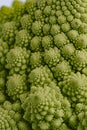 Close-up of the pertuvities of a broccoli of the Romanescu variety