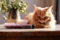 close-up of pet brush and fur clump on table Royalty Free Stock Photo