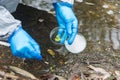 Close-up of a Petri dish with a sample of plants from a pond for research in the hands of a laboratory worker, top view, on a