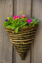 Close-up of a Petunia and Geranium in a basket on a wooden background