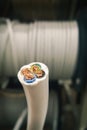Close-up of 3-phase 4-core copper stranded wire in section against the background of a coil with a white wire. Vertical Royalty Free Stock Photo