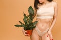 Close up photo of attractive young woman in underwear smiling while standing and holding plant against beige background. Royalty Free Stock Photo