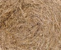 A close up photo of a bale of hay