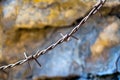 A close-up photo of barbed wire.