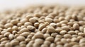 Close-up photo of barley grains. gen ai