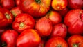 Close up photo of bio tomatoes. Ripe tomatoes, for preparing tomato sauce