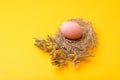 Close up photo of birds nest easter eggs over yellow background Royalty Free Stock Photo