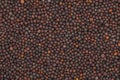 Close up photo of black mustard seeds. Top view high resolution macro photo Royalty Free Stock Photo