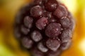 Close up photo of blueberry fruit salad