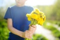 Close-up photo of bouquet of dandelions for the mom in the child`s hand