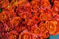 Close-up photo of a bouquet of many Rosebuds