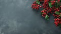 Holly Branch With Red Berries and Green Leaves Royalty Free Stock Photo