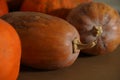 A close up photo of a bright orange pumpkin with early stages of fungal damage grey mold