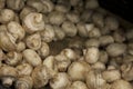 Close-up of button mushrooms in grocery store Royalty Free Stock Photo