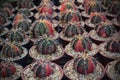 Close up photo of cactus with red and green color.