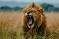 This close-up photo captures a lion with its mouth open, showcasing its powerful jaw and teeth, An intimidating lion roaring in