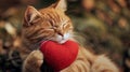 Close-Up Photo of Cat Holding Heart Royalty Free Stock Photo